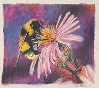 Bee and Flower