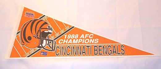 Super Bowl PD         Pennant