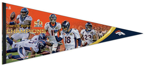 Super Bowl PD         Pennant