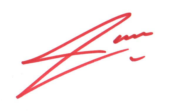 Xabi Alonso - World Cup Soccer