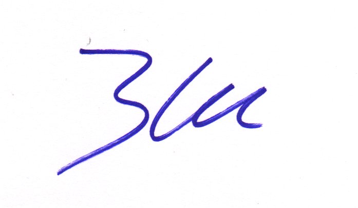 Michael Ballack - World Cup Soccer