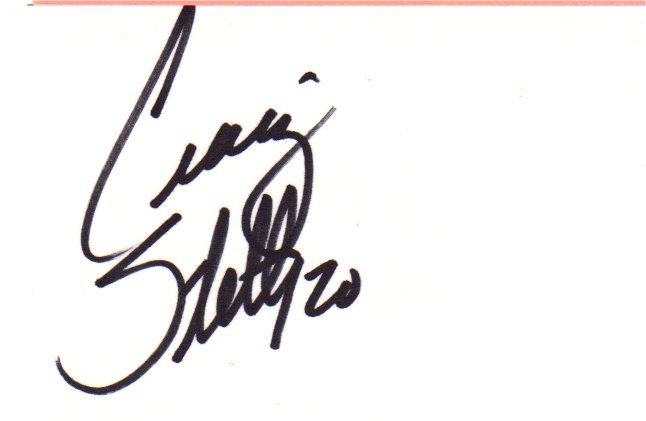 Craig Steltz - Chicago Bears