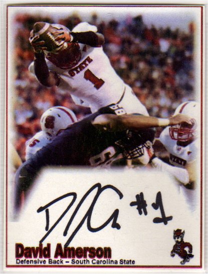 David Amerson - South Carolina State Wolfpack