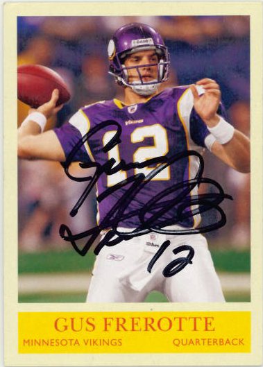 Gus Frerotte - Minnesota Vikings