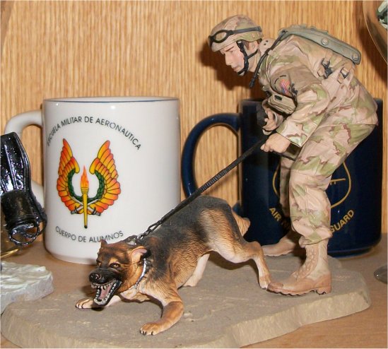 Air Force Security Force K9 - Air Force
