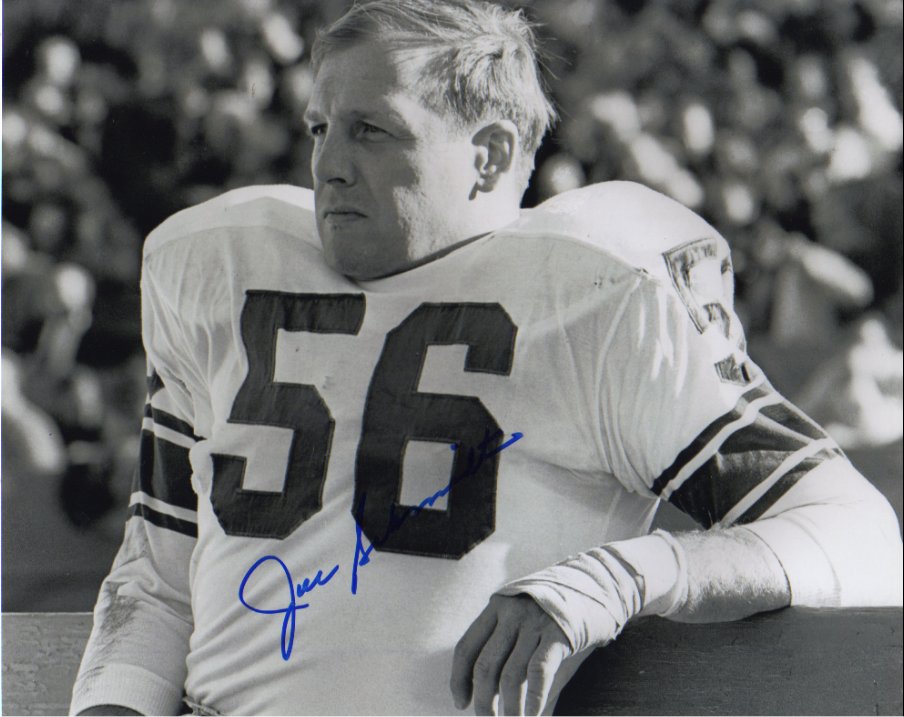 Joe Schmidt