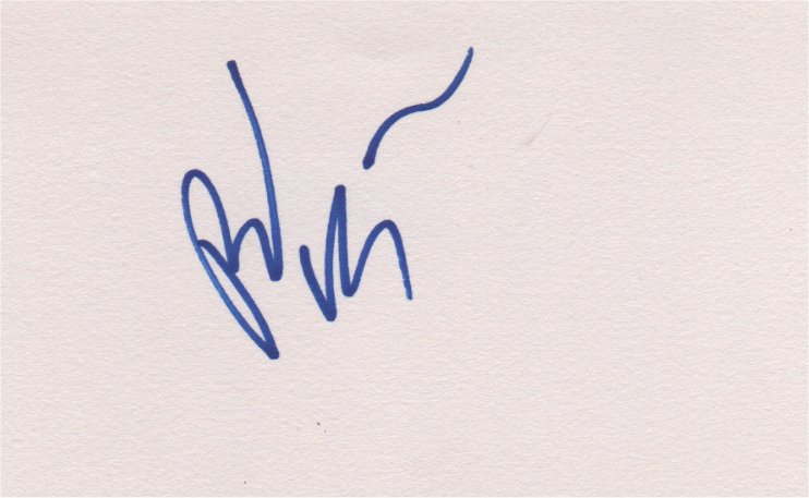 Brad Miller - Charlotte Hornets