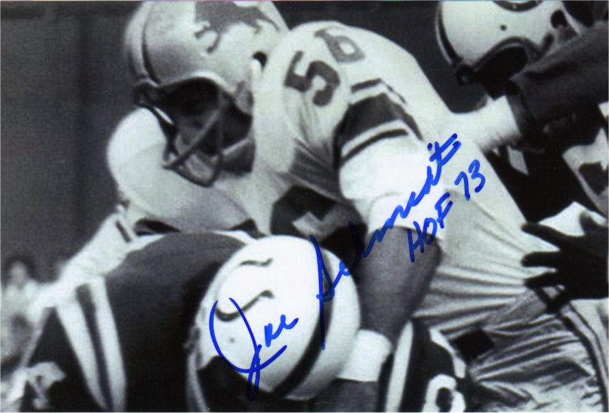 Joe Schmidt