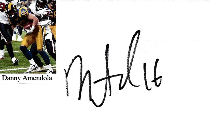 Danny Amendola - St Louis Rams