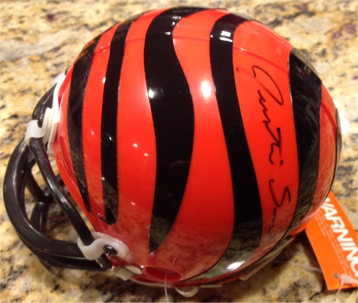 Justin Smith - Cincinnati Bengals
