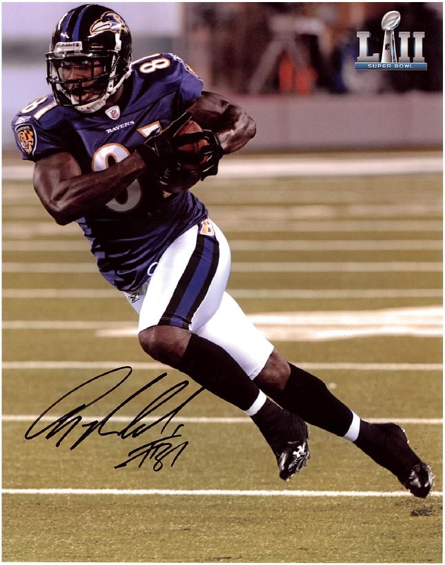 Anquan Boldin