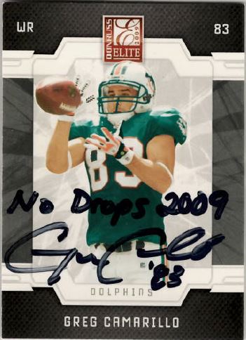 Greg Camarillo - Miami Dolphins