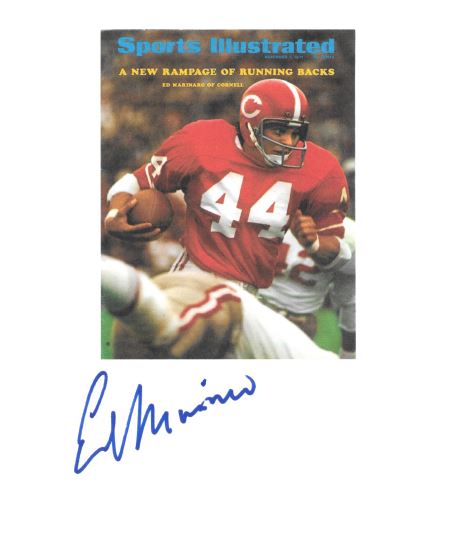 Ed Marinaro