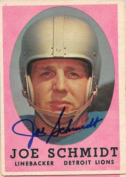 Joe Schmidt