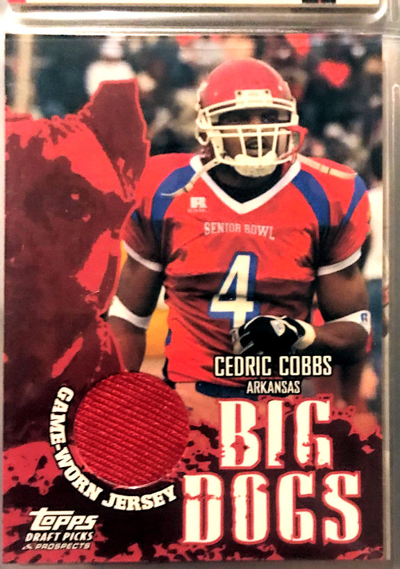 Cedric Cobb - New England Patriots