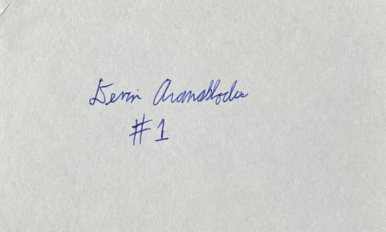 Devin Aromashodu - Indianapolis Colts