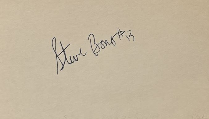 Steve Bono - Minnesota Vikings