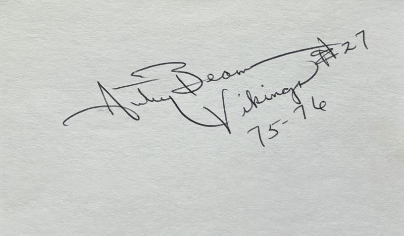 Autry Beamon - Minnesota Vikings