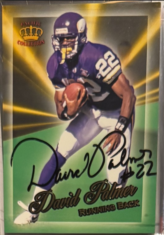 David Palmer - Minnesota Vikings
