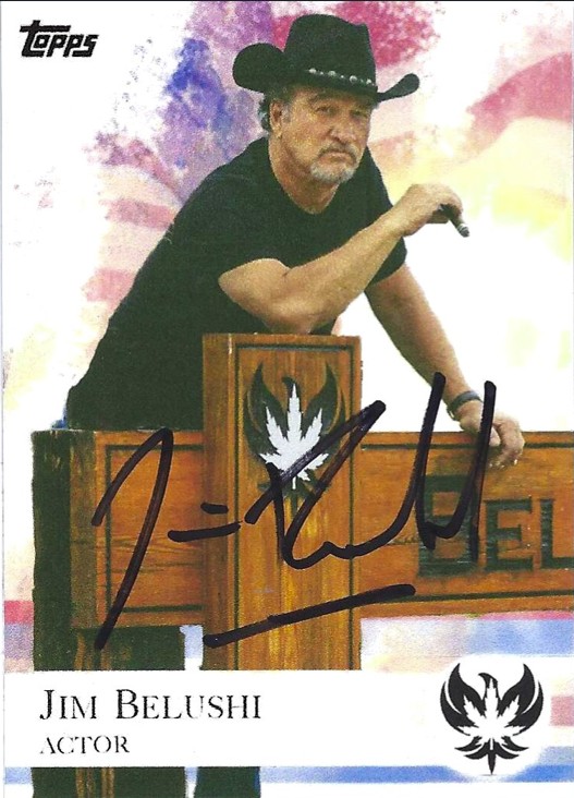 Jim Belushi - Actor