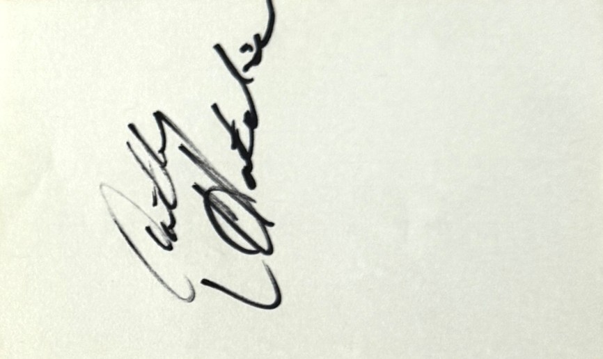 Anthony Hutchison - Chicago Bears