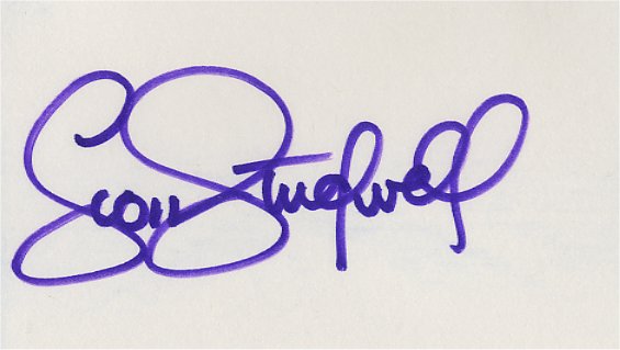 Scott Studweill - Minnesota Vikings