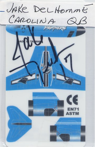 Jake Delhomme - Carolina Panthers