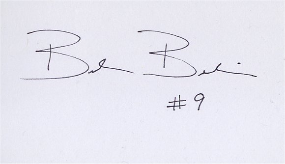 Brock Berlin - Miami Dolphins