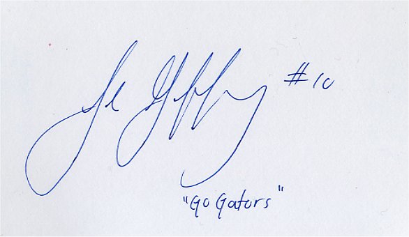 Jabar Gaffney - Houston Texans