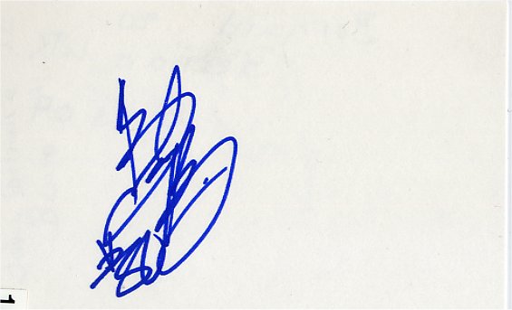 Bernard Berrian - Chicago Bears