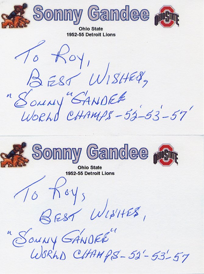 Sonny Gandee - Detroit Lions