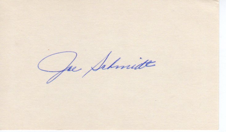 Joe Schmidt