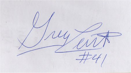 Greg Lewis - Denver Broncos