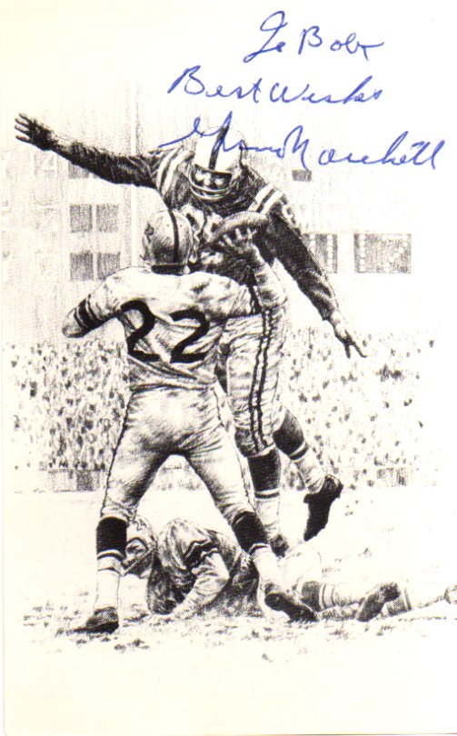Gino Marchetti