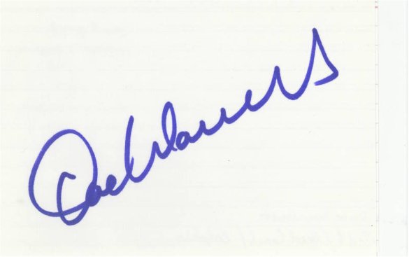 Dave Wannstedt - Chicago Bears