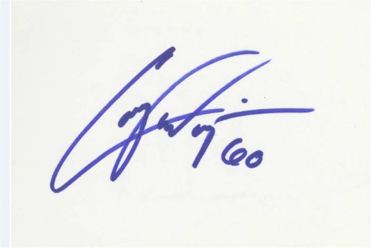 Casey Wiegmann - Chicago Bears