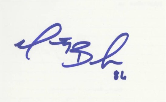 Marty Booker - Chicago Bears