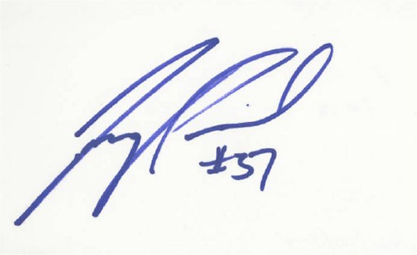 Tony Parrish - Chicago Bears