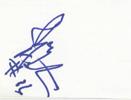 Raymond Austin - Chicago Bears