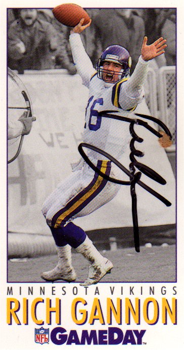 Rich Gannon - Minnesota Vikings