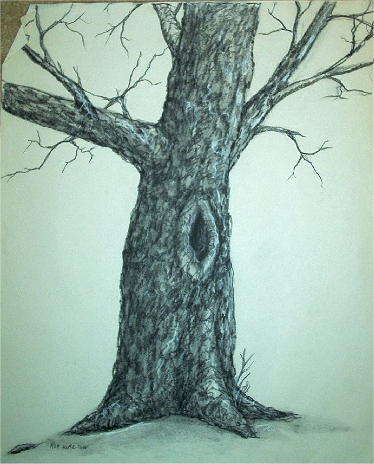tree.jpg