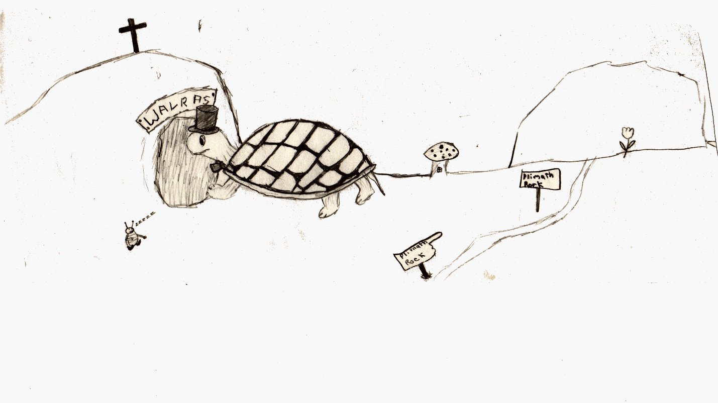 Turtle.jpg