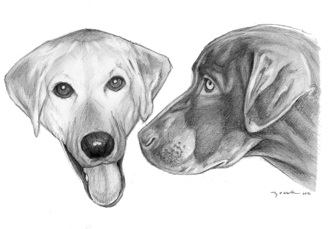 Dogs.jpg