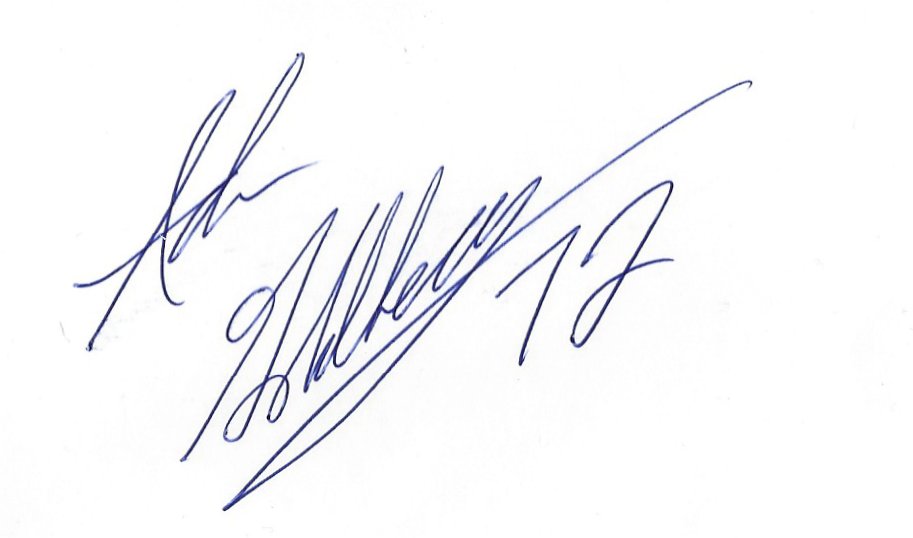 Adam Goldberg - Minnesota Vikings