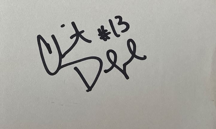 Clint Dolezel - Chicago Bears