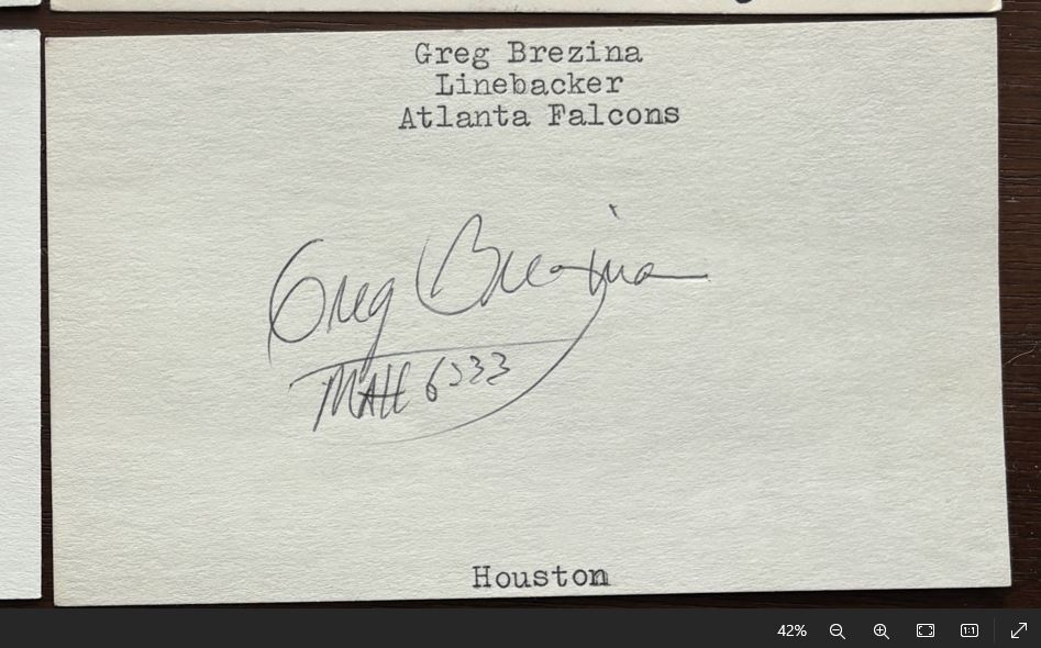 Greg Brezina - Atlanta Falcons