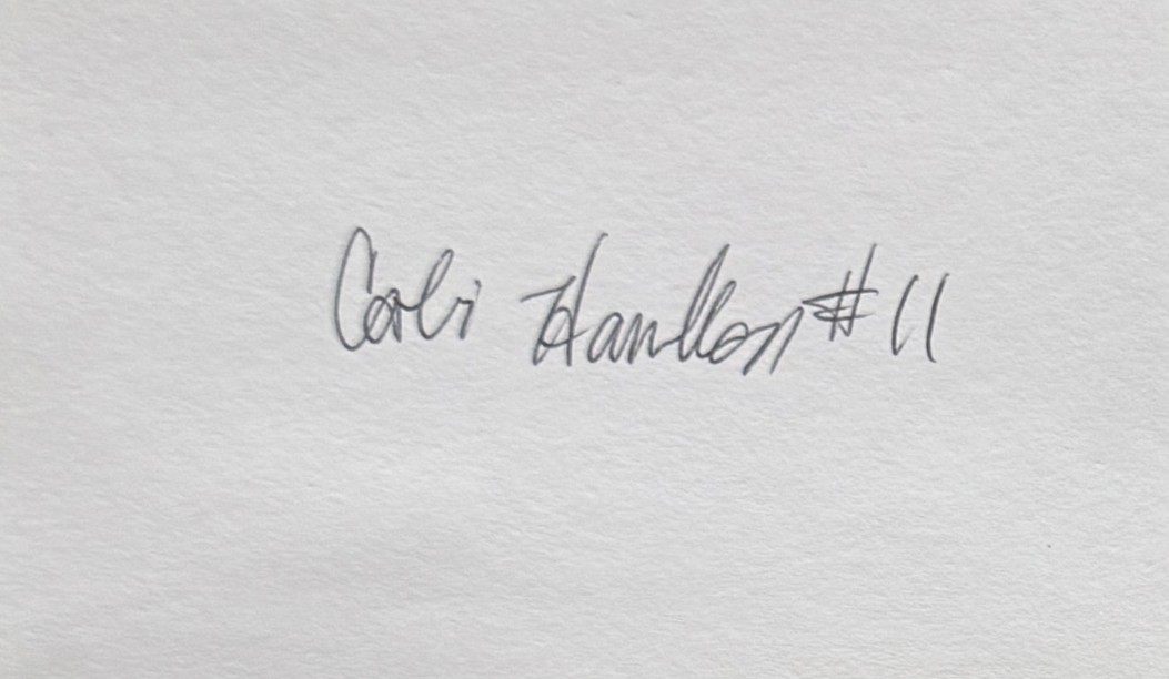 Cobi Hamilton - Cincinnati Bengals