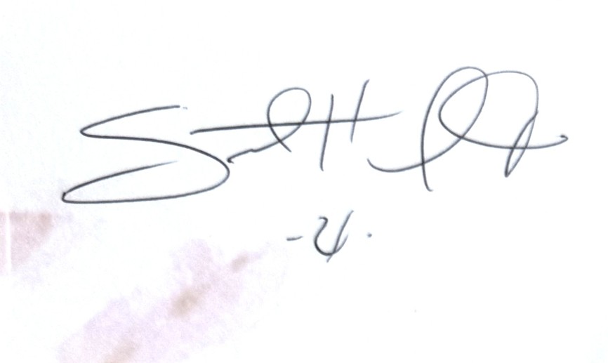 Santonio Holmes - Pittsburgh Steelers