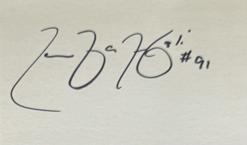 Tamba Hali - Kansas City Chiefs