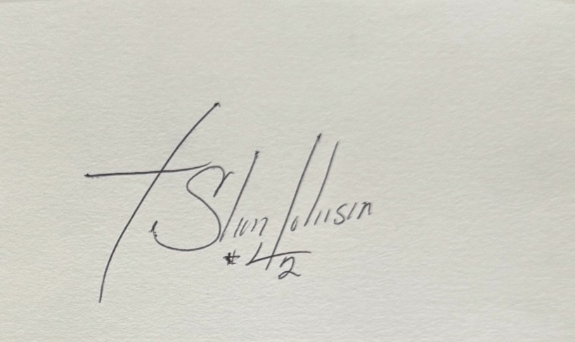 LeShon Johnson - Green Bay Packers